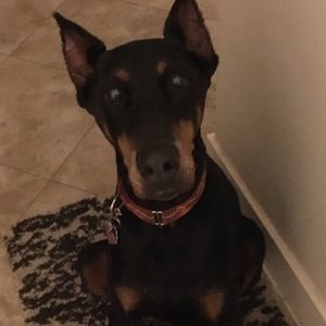 Meet your Posher, Deanna